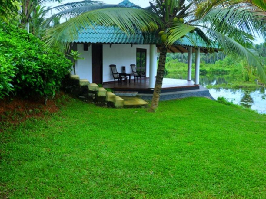 Jungle Heart Cabanas Danwattegoda Ngoại thất bức ảnh