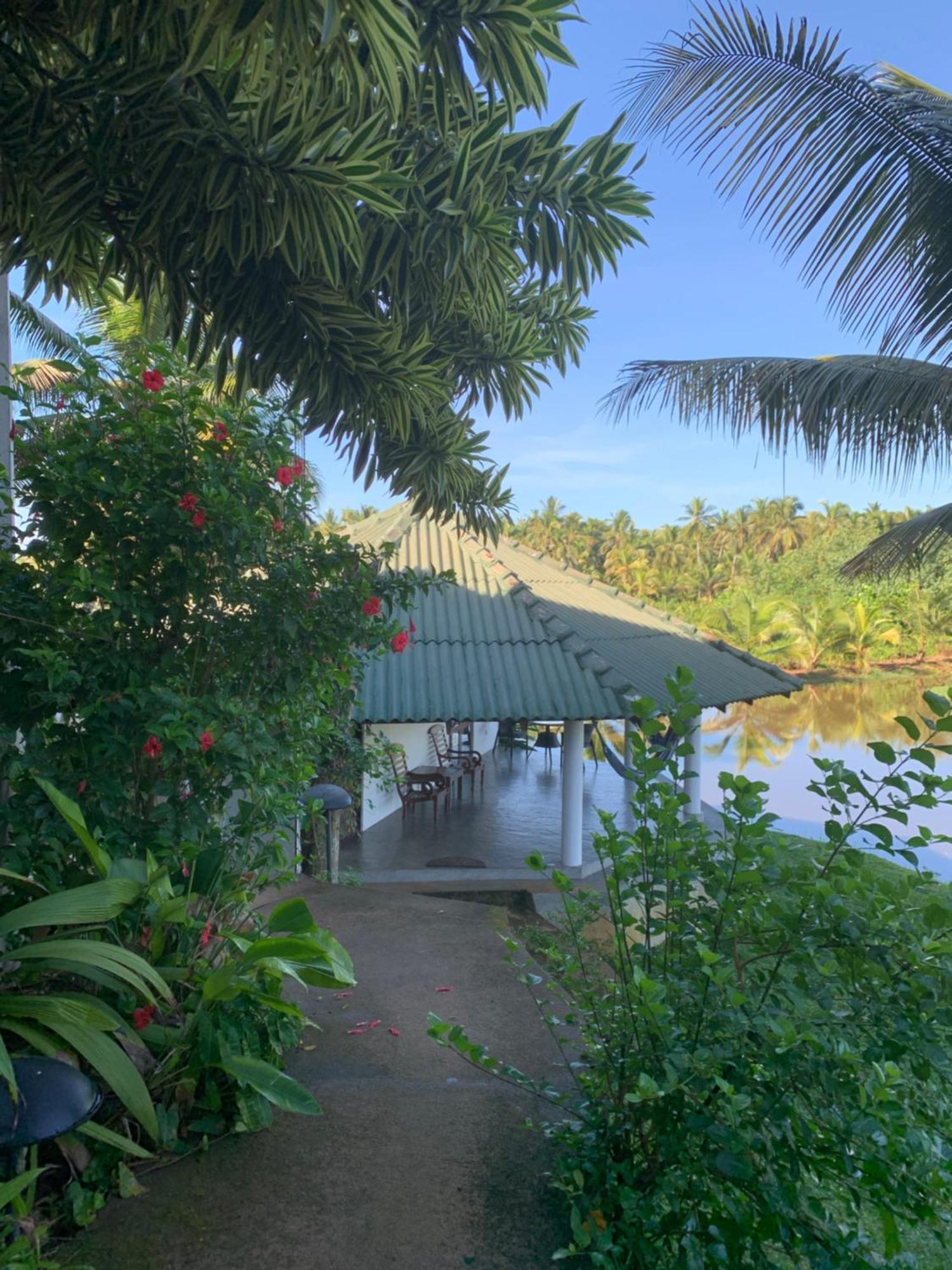 Jungle Heart Cabanas Danwattegoda Ngoại thất bức ảnh