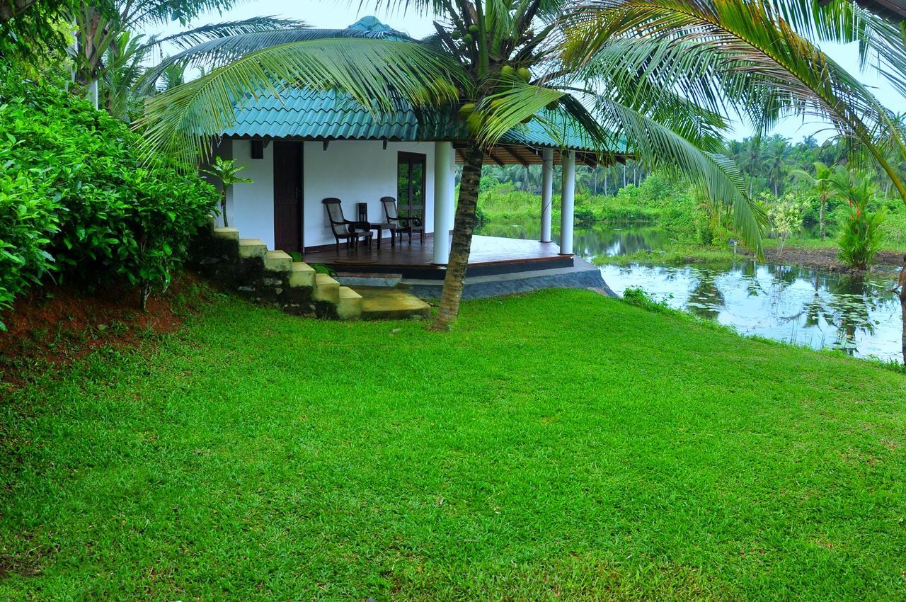 Jungle Heart Cabanas Danwattegoda Ngoại thất bức ảnh