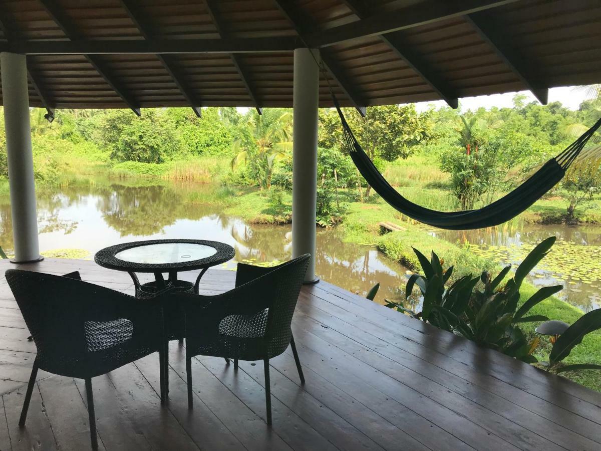 Jungle Heart Cabanas Danwattegoda Ngoại thất bức ảnh